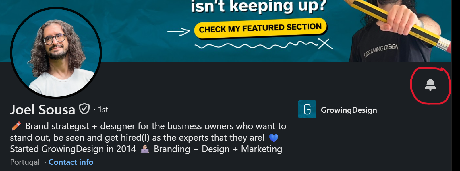LinkedIn profile with the bell circled 